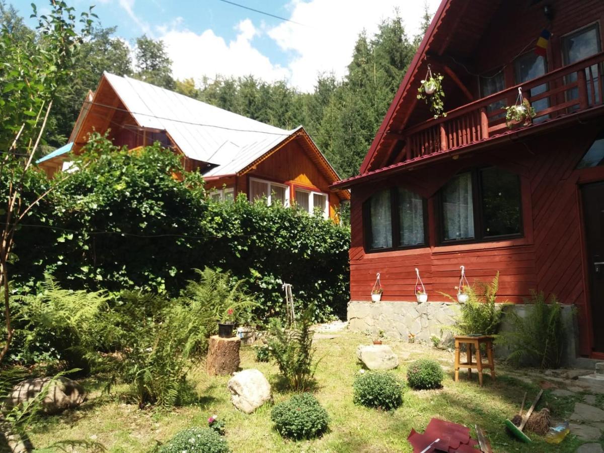 Casuta Paterau Cheia, Prahova Villa Cheia  Exterior photo